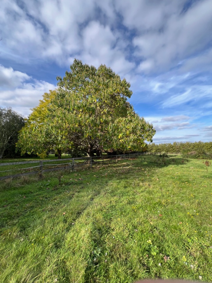 Offre de terrain constructible viabilisé à Thoiry