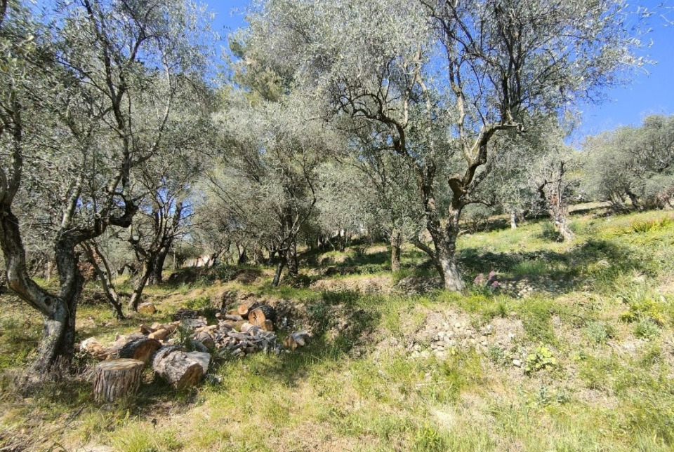 Maison à construire à Saint-Martin-du-Var (06670)