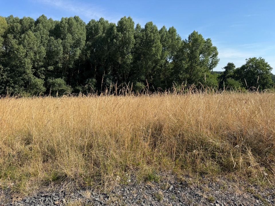 Terrain à bâtir à Saint-Germain-le-Fouilloux (53240)