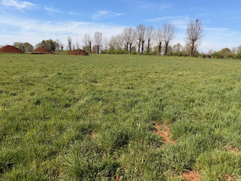 Terrain à bâtir à Thérondels (12600)