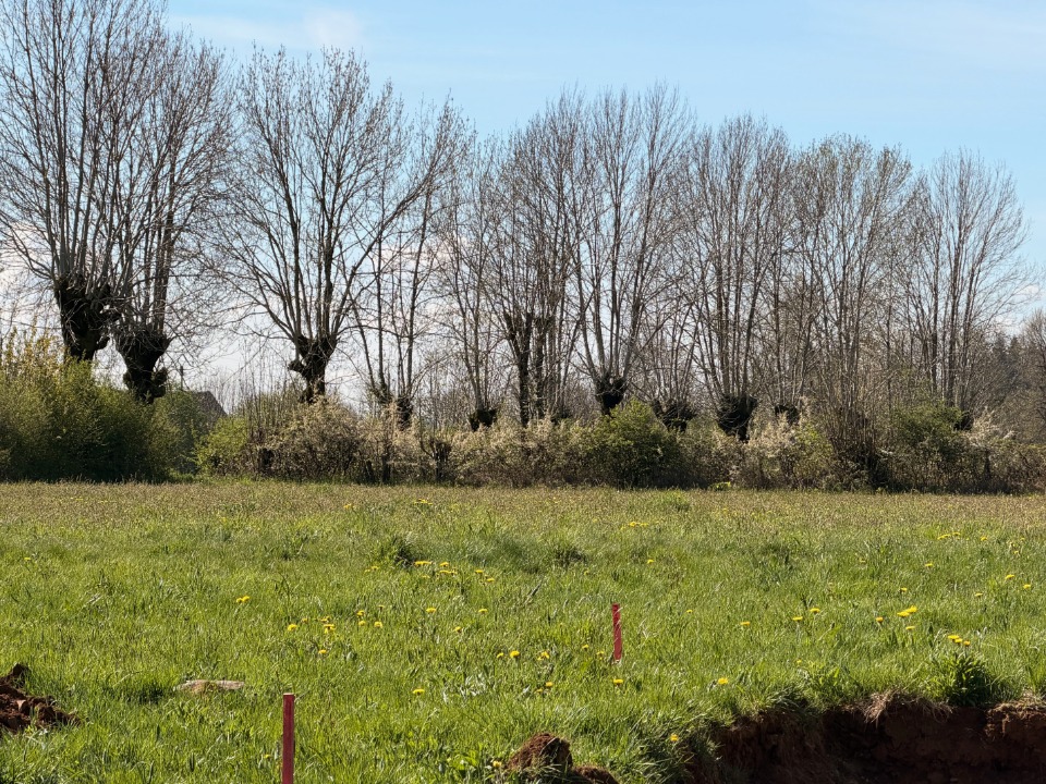 Terrain à bâtir à Thérondels (12600)