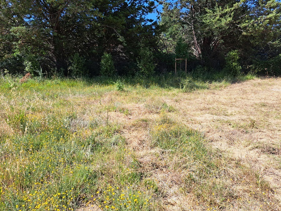 Terrain à bâtir à Peynier (13790)