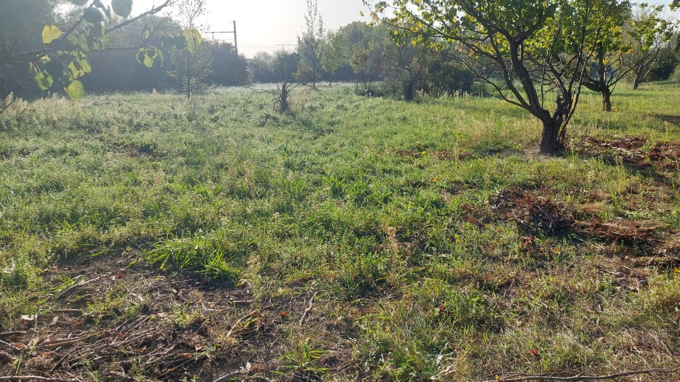 Terrain à bâtir à Sénas (13560)