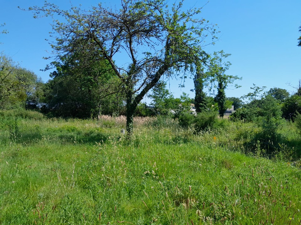 Terrain à bâtir à Les Moutiers-en-Retz (44760)