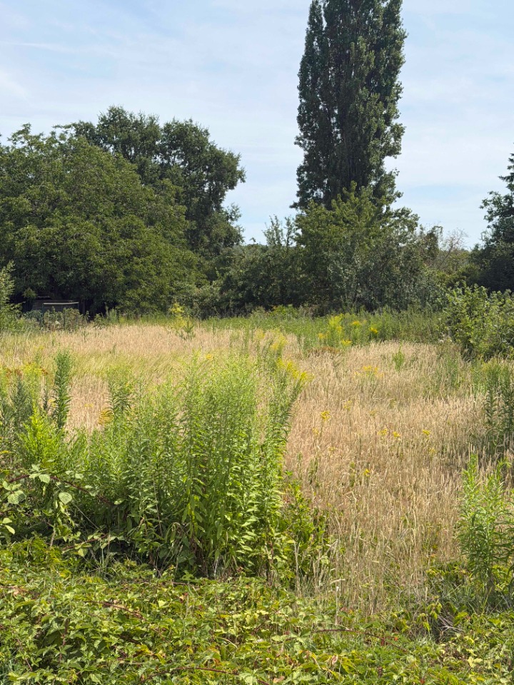 Terrain à bâtir à Milly-la-Forêt (91490)
