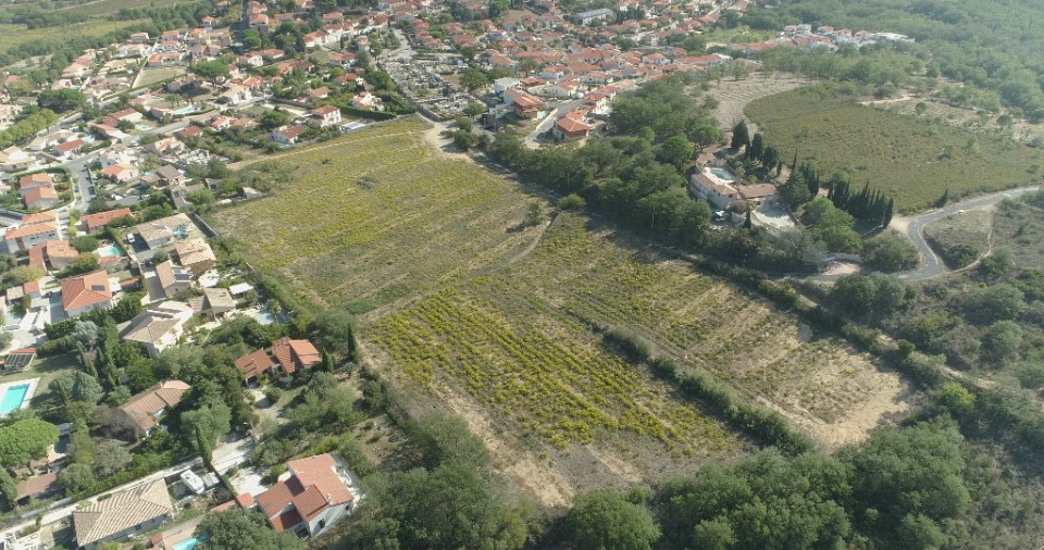 Terrain à bâtir à Banyuls-dels-Aspres (66300)