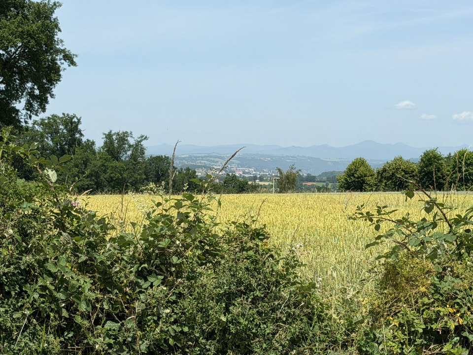 Terrain à bâtir à Roannes-Saint-Mary (15220)
