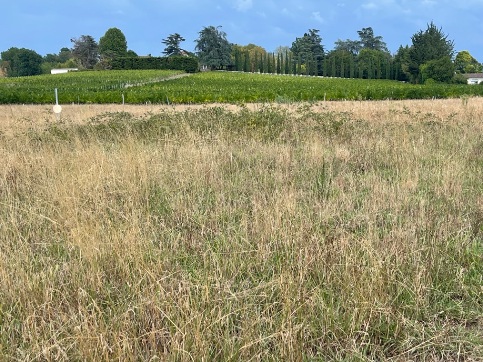 Terrain à bâtir à Camblanes-et-Meynac (33360)