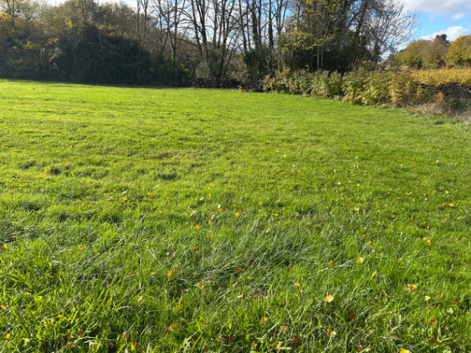 Terrain à bâtir à Portets (33640)