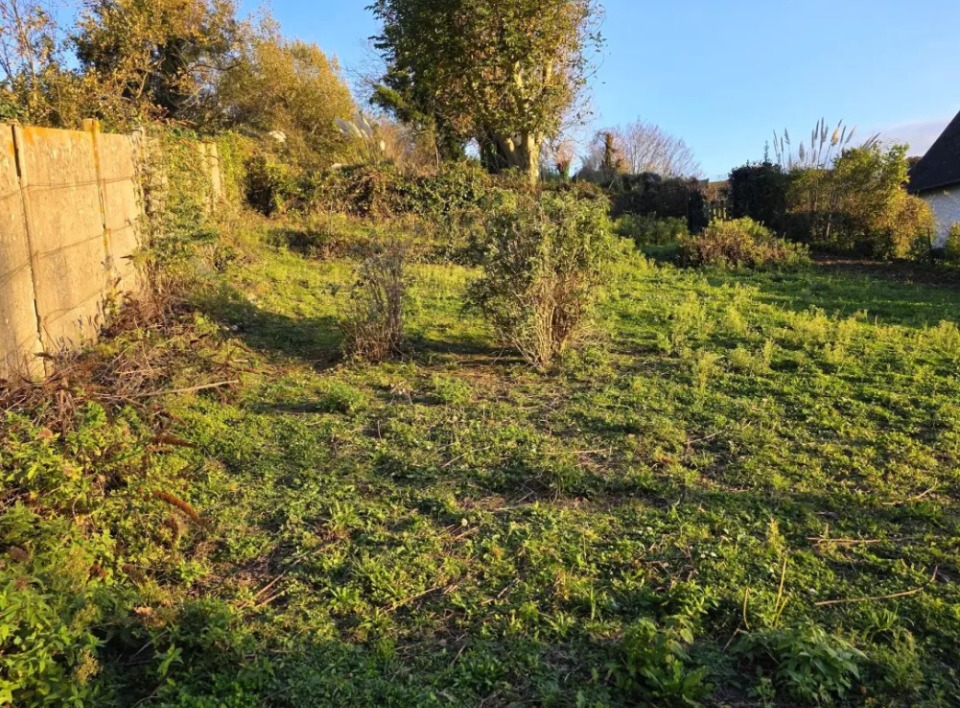 Terrain à bâtir à Écrainville (76110)
