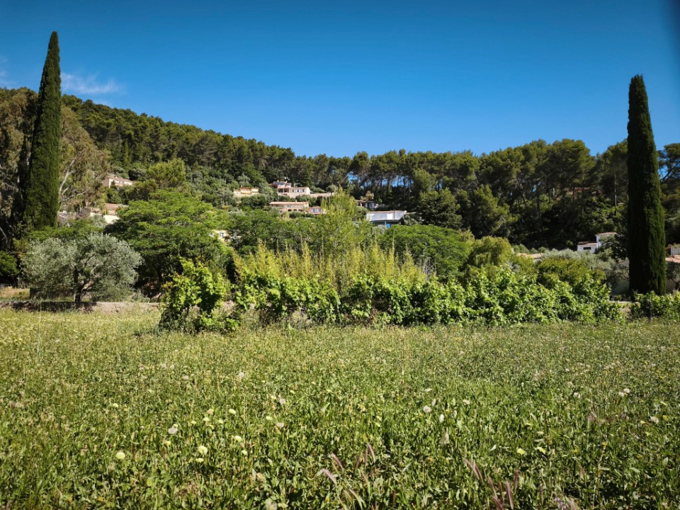 Terrain à bâtir à Solliès-Pont (83210)