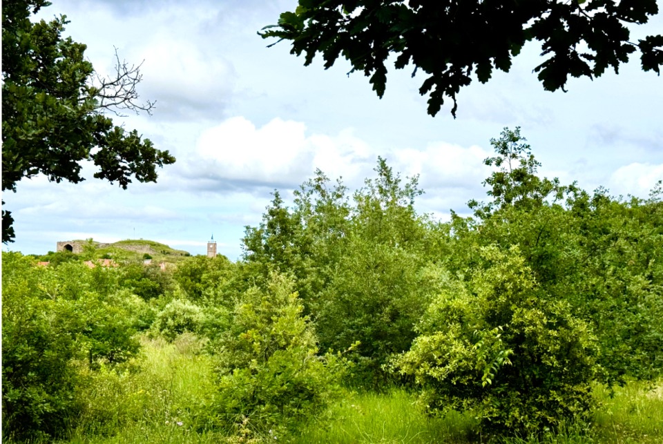 Terrain à bâtir à Montesquieu-des-Albères (66740)