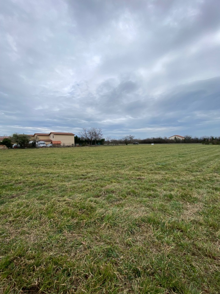 Terrain à bâtir à Champdieu (42600)