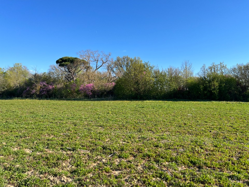 Terrain à bâtir à Labastide-d'Anjou (11320)