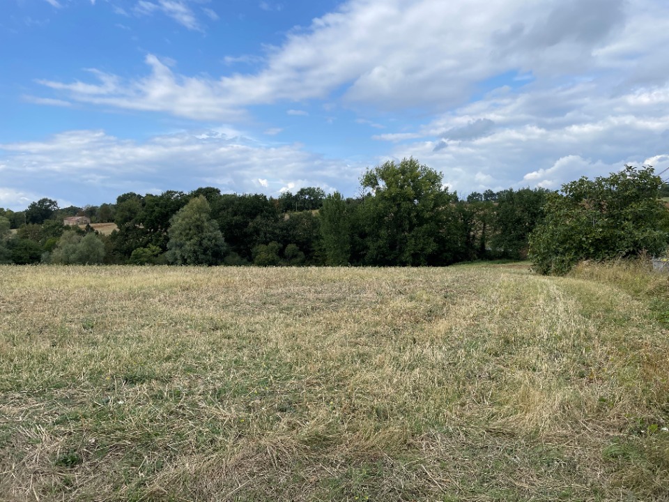 Terrain à bâtir à Montfa (81210)