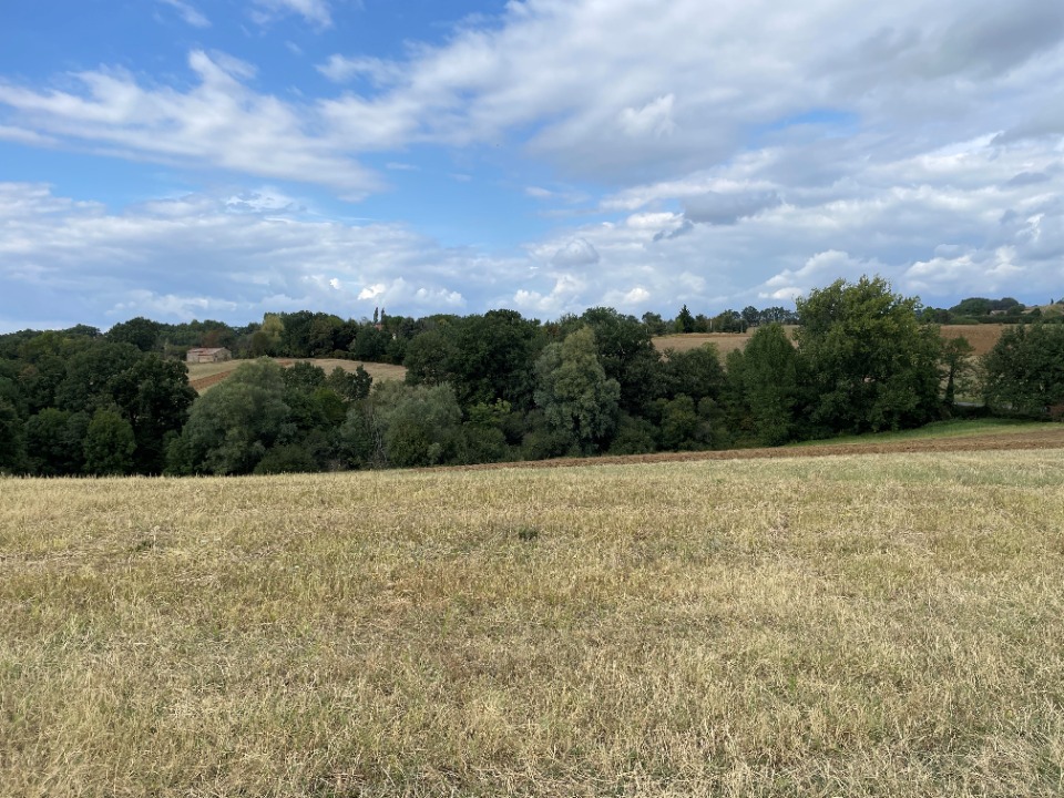 Terrain à bâtir à Montfa (81210)