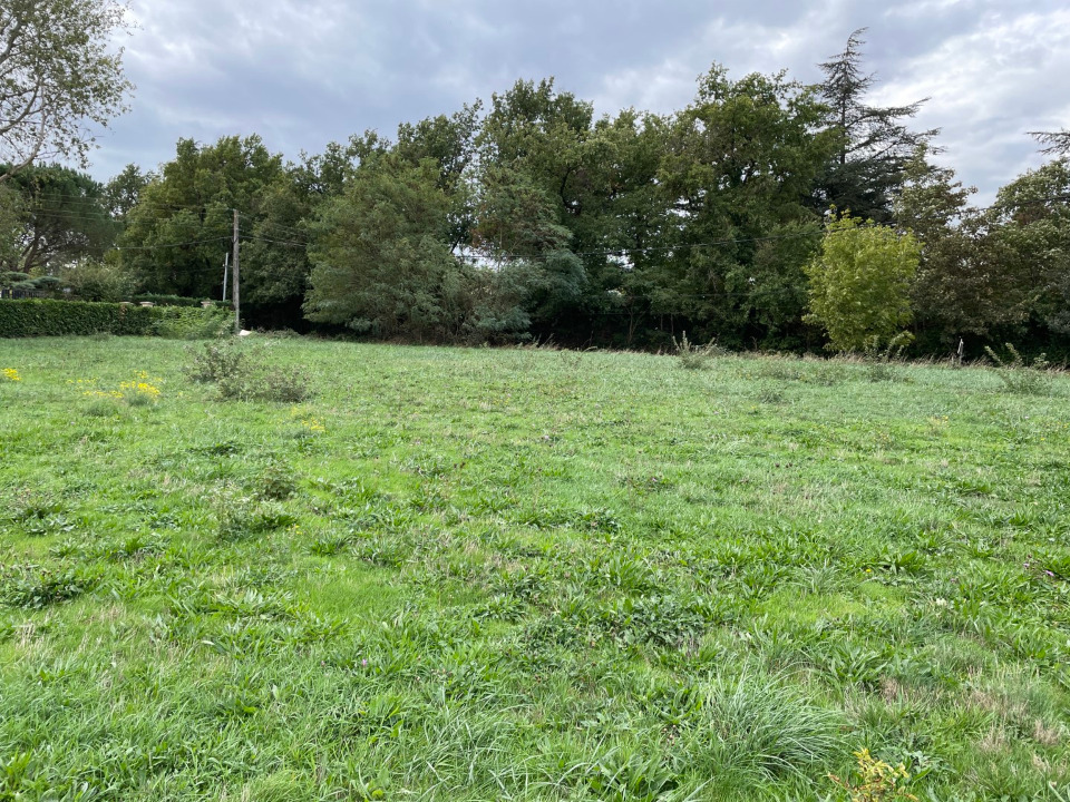 Terrain à bâtir à Labruguière (81290)