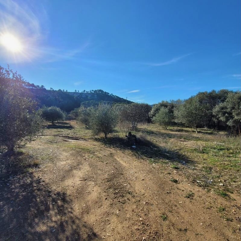 Terrain à bâtir à Cuges-les-Pins (13780)