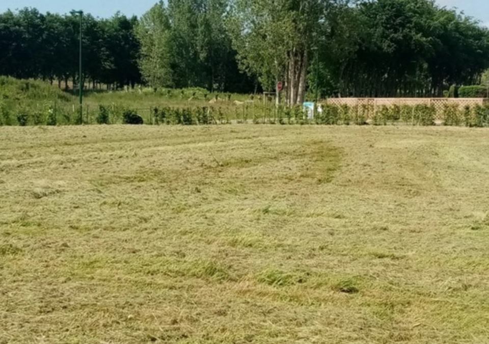 Terrain à bâtir à Amfreville-les-Champs (76560)