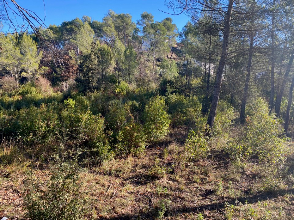 Terrain à bâtir à Brignoles (83170)