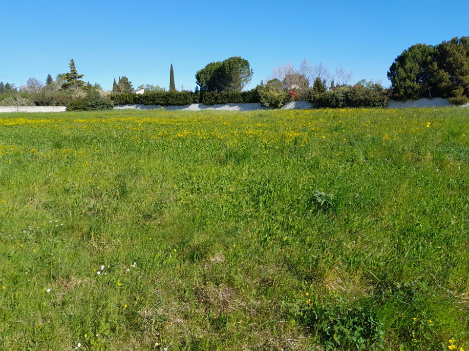 Terrain à bâtir à Bédarrides (84370)