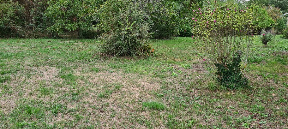 Terrain à bâtir à Salleboeuf (33370)