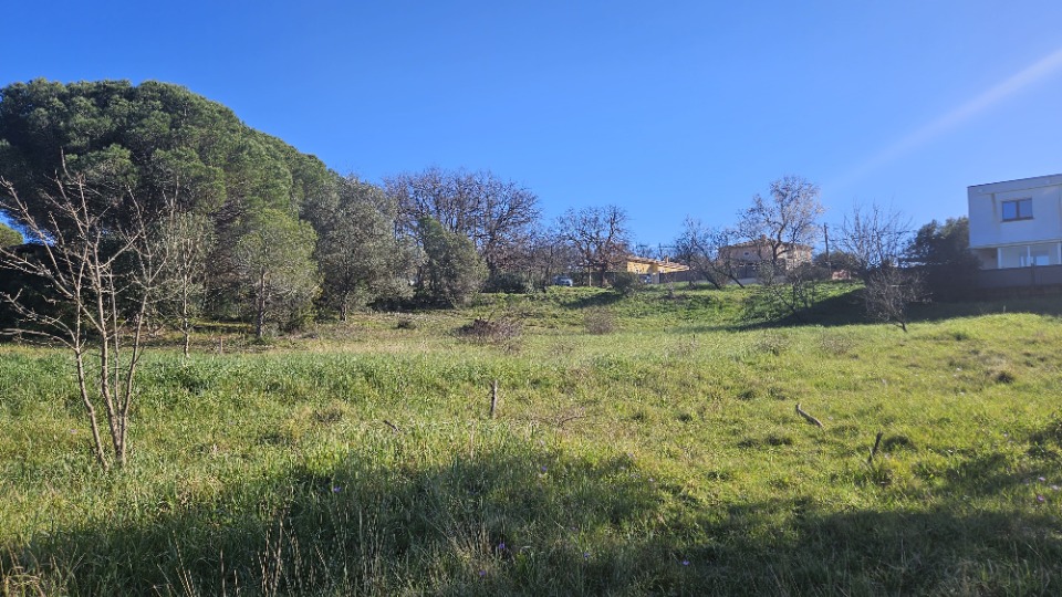 Terrain à bâtir à Roquebrune-sur-Argens (83520)