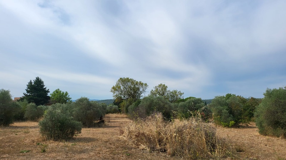 Terrain à bâtir à Tavernes (83670)