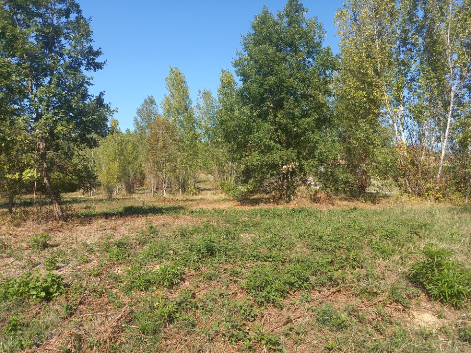 Terrain à bâtir à Mézens (81800)