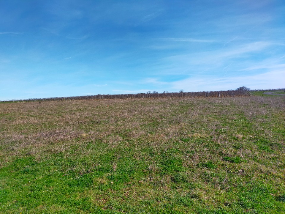 Terrain à bâtir à Baignes-Sainte-Radegonde (16360)