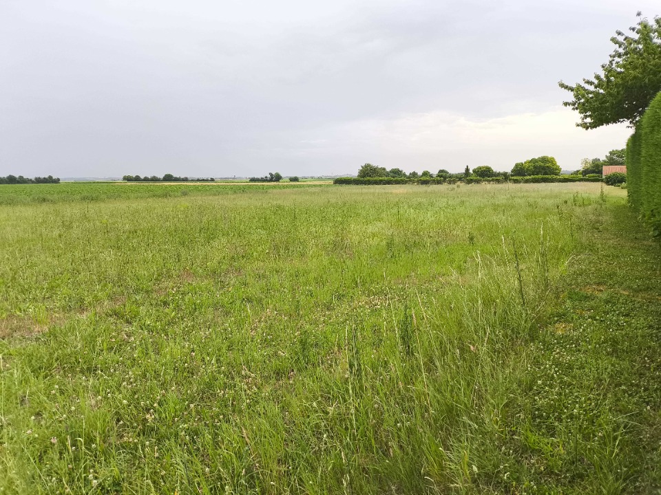 Terrain à bâtir à Jarnac-Champagne (17520)