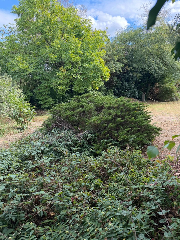 Terrain à bâtir à Ollainville (91340)