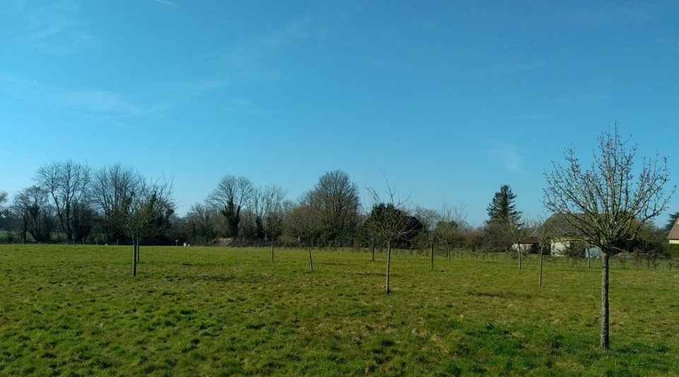 Terrain à bâtir à Heuland (14430)