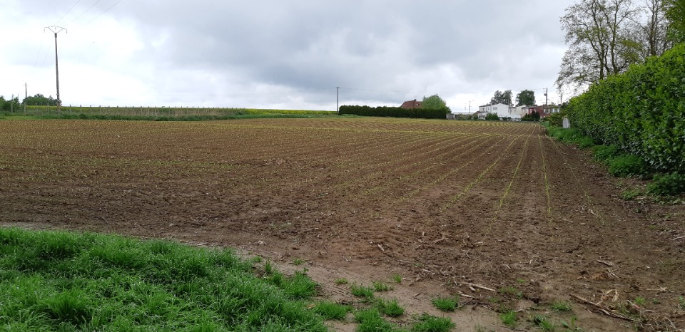 Terrain à bâtir à Saint-Hilaire-lez-Cambrai (59292)