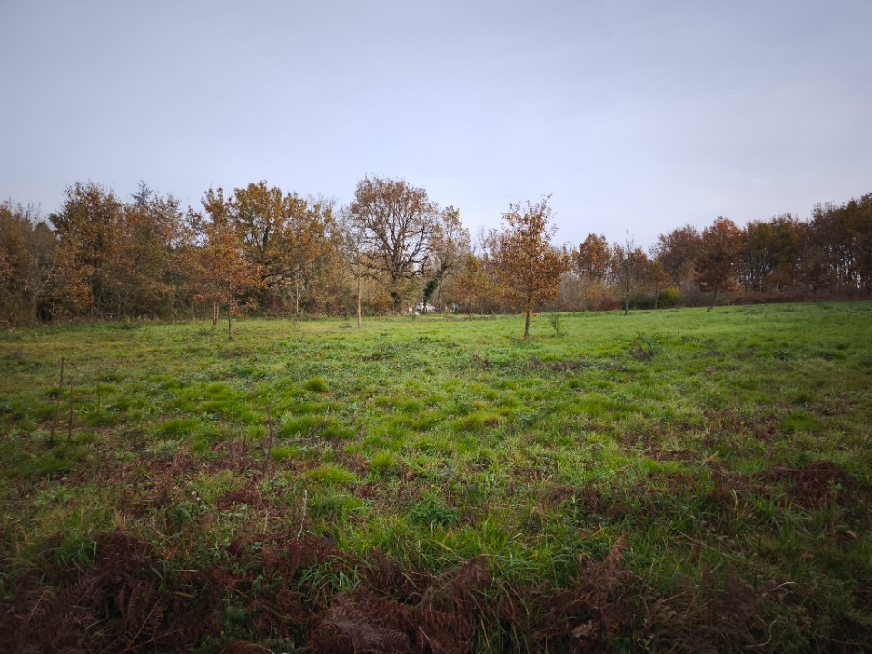 Terrain à bâtir à Damiatte (81220)