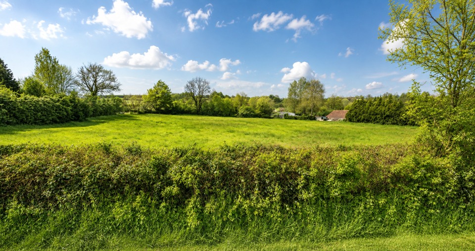 Terrain à bâtir à Compainville (76440)