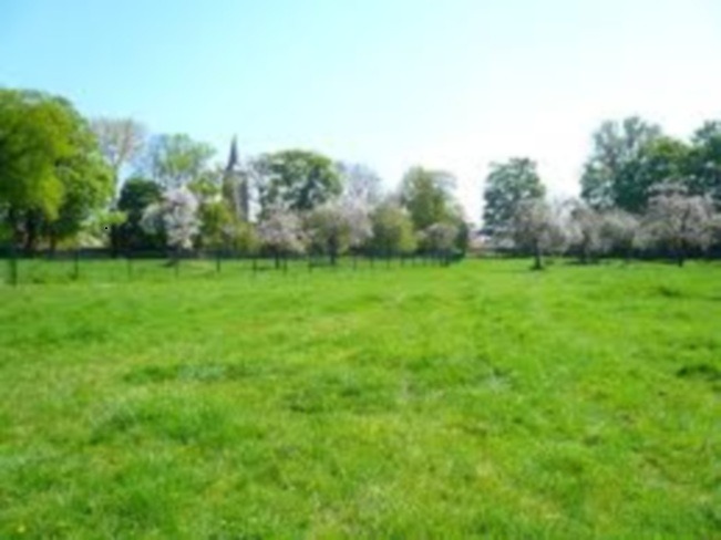 Terrain à bâtir à Malay-le-Petit (89100)