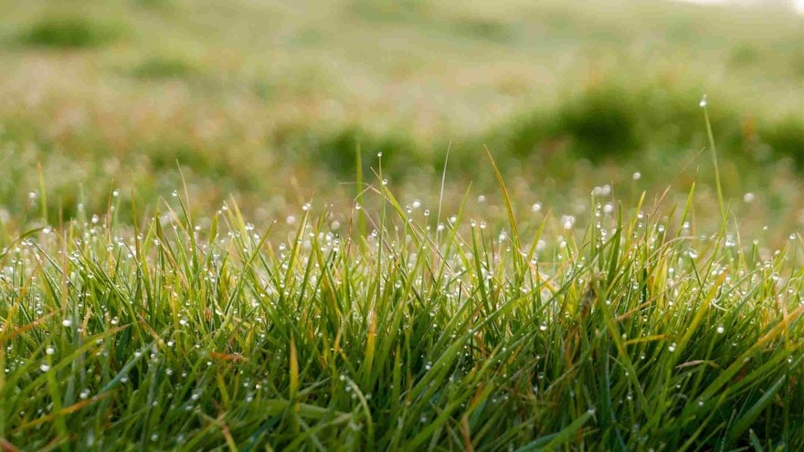 Terrain à bâtir à La Chapelle-des-Pots (17100)