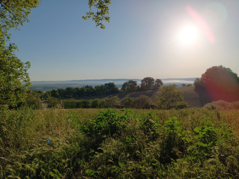 Terrain à bâtir à Saint-Affrique-les-Montagnes (81290)