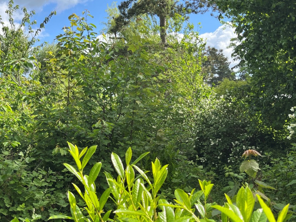 Terrain à bâtir à Abbeville (80100)