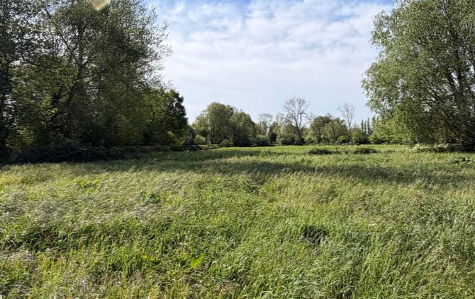 Terrain à bâtir à Ponthoile (80860)