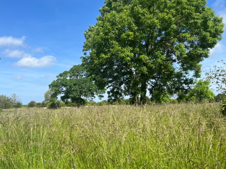 Terrain à bâtir à Pendé (80230)