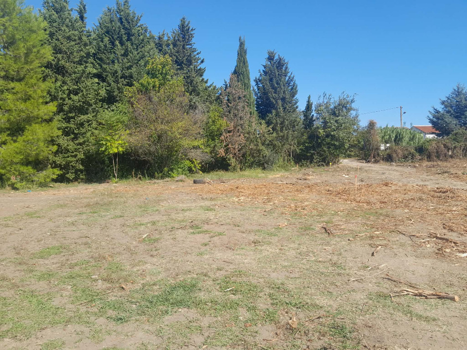 Terrain à bâtir à Morières-lès-Avignon (84310)