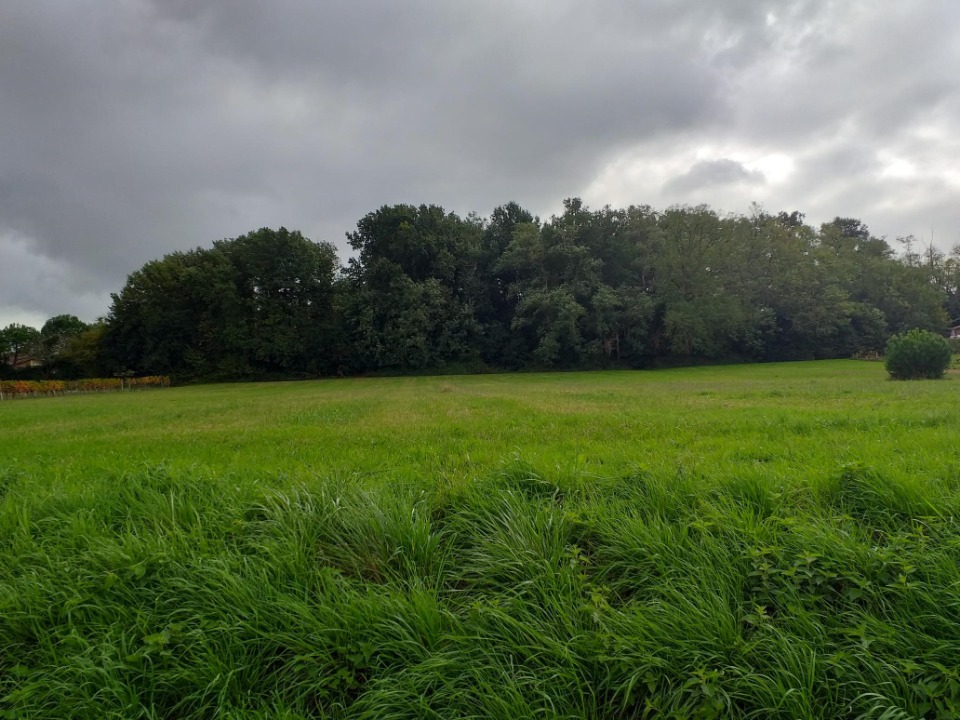 Terrain à bâtir à Romagne (33760)