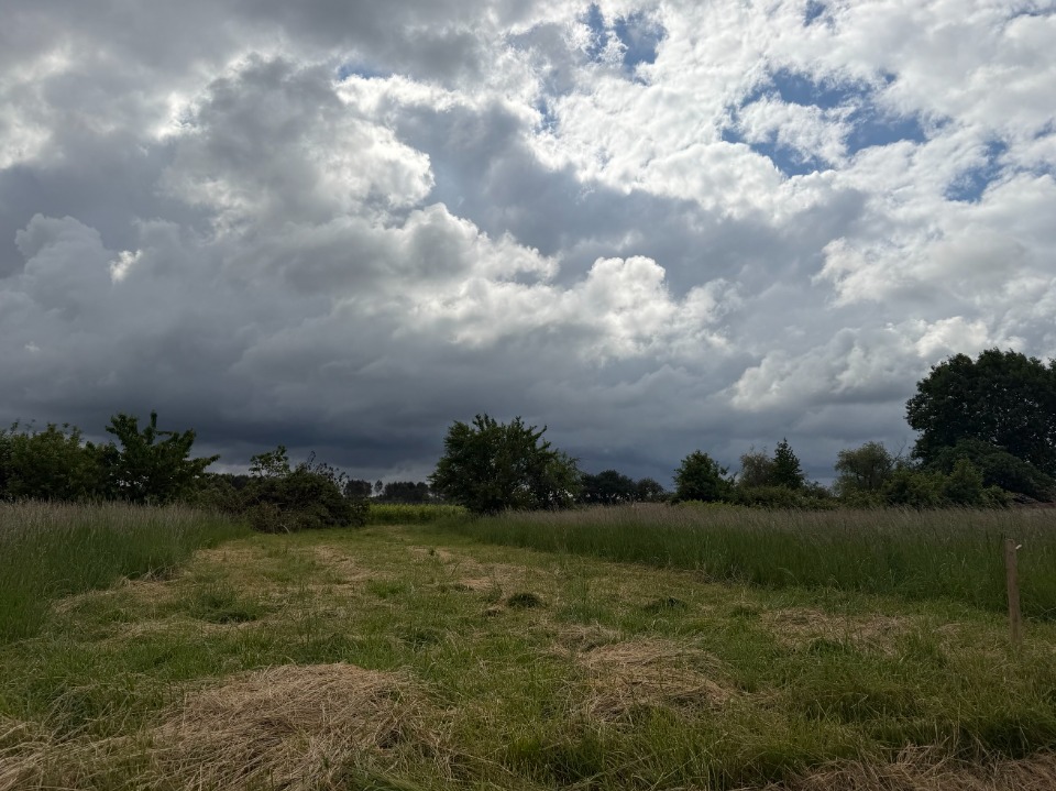 Terrain à bâtir à Saint-Pierre-de-Mons (33210)