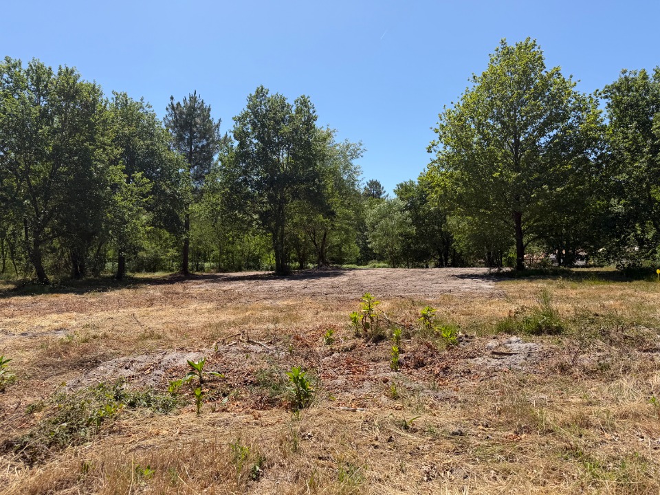 Terrain à bâtir à Lignan-de-Bazas (33430)