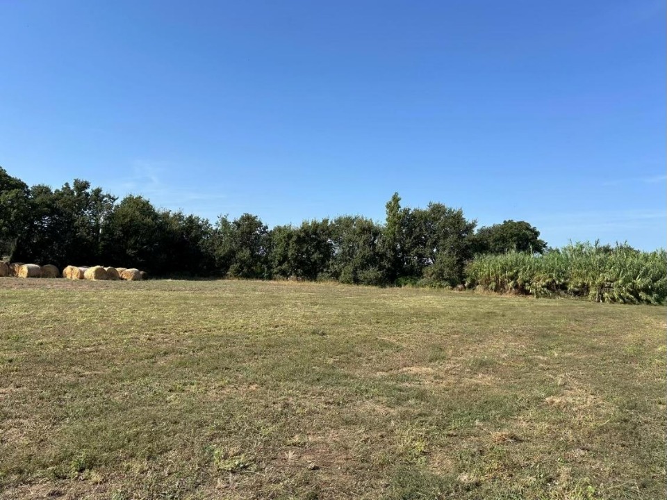 Terrain à bâtir à Villeneuve-la-Rivière (66610)