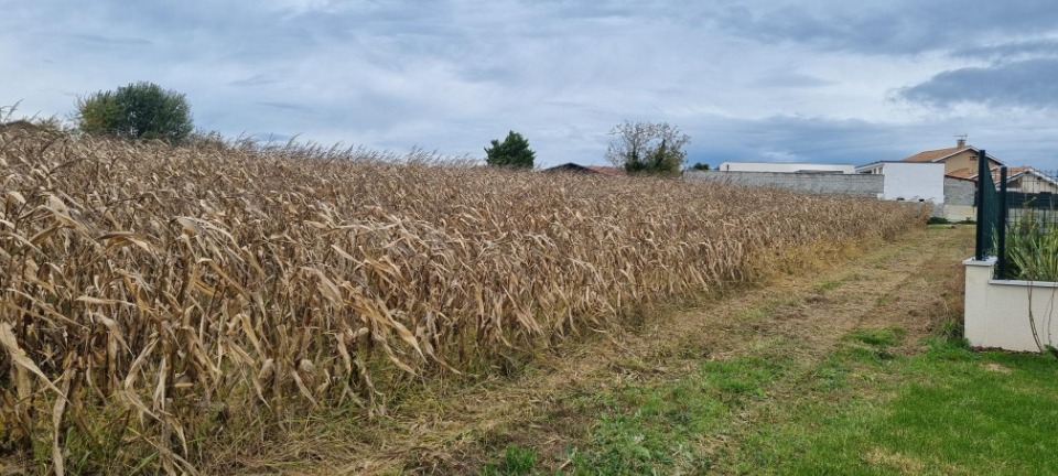Terrain à bâtir à Saint-Jean-de-Thurigneux (01390)