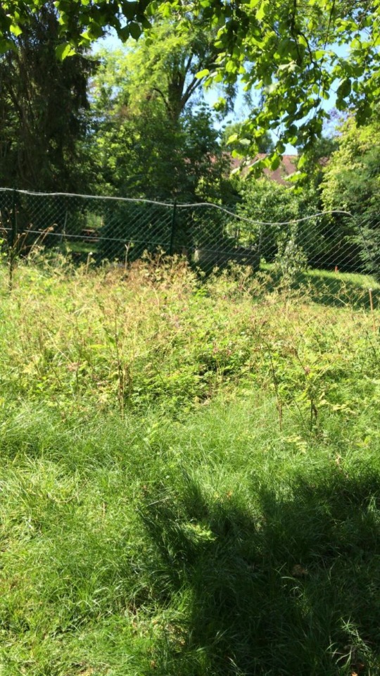 Terrain à bâtir à Compiègne (60200)