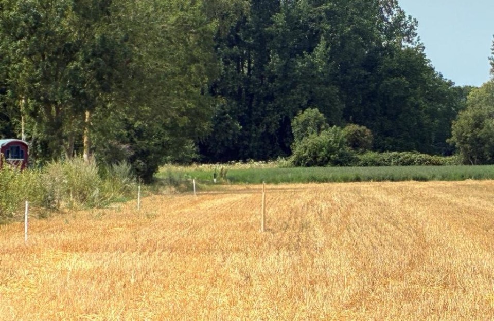 Terrain à bâtir à Villers-sur-Authie (80120)
